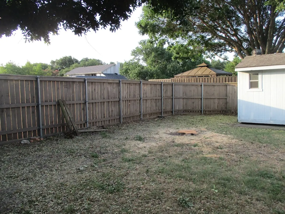 Cleared yard after professional tree removal in Trementina
